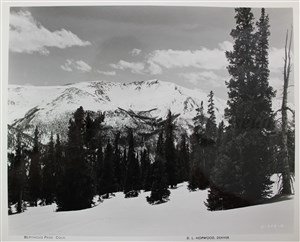 Image description is not available for 2007.027